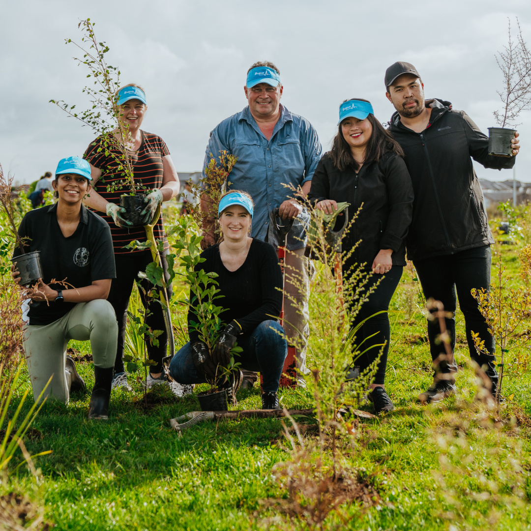 Bupa team planting